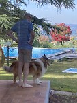 Koen en de hond des huizes Artu