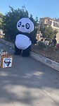Een verloren panda