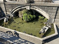 Echte en stenen schildpaddenfontein