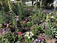 Mooie bloemenperkjes