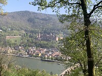 Het schloss van Heidelberg