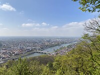 Zicht over de stad en de Neckar