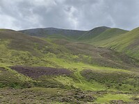 Cairngorms