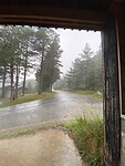 Regen