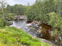 Wandelen in de natuur