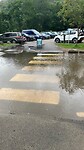 Veeeeel regen