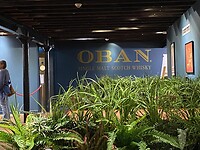 Oban distillery