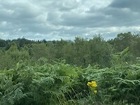Trossachs national park