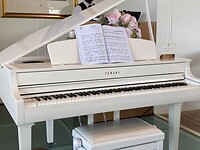 Piano met fur elise partituur in tearoom
