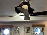 De wombatknuffel