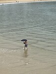 IMG_1029