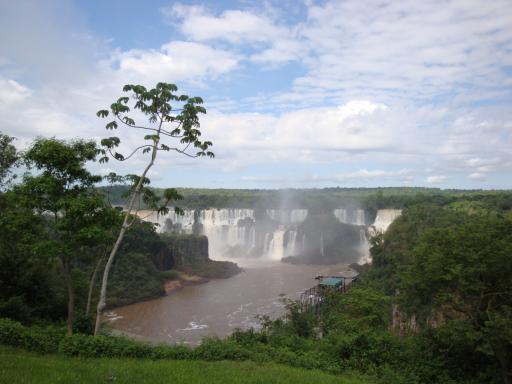 DSC02557