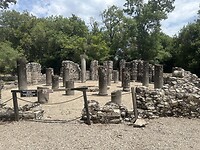 IMG_2537