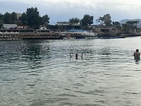 IMG_2556