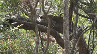 IMG_5059