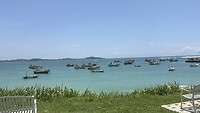 IMG_6606