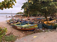 IMG_6658