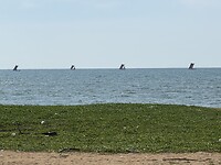 IMG_6775