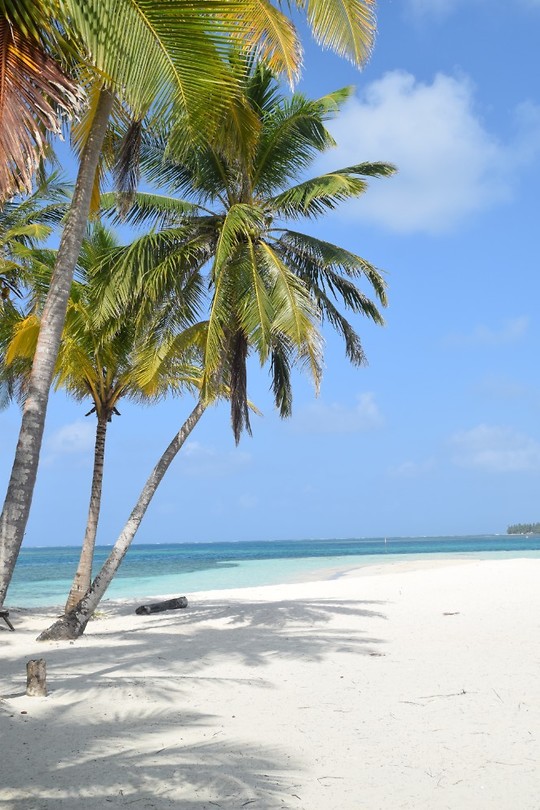 Prachtig strand
