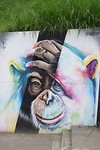 Streetart in Comuna 13