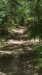 Bushtrail