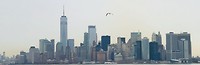 Skyline New York