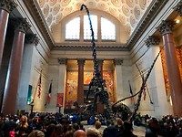 Museum