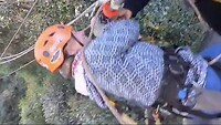 VID-20240731-WA0080