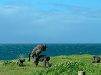 IMG-20240813-WA0011