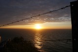DSC01447