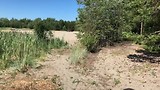 Beeld van omgeving Hörnefors. Zowel zee als bos.
