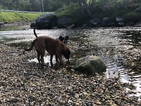 Lekker drinken na lange wandeling.