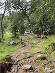 hiking Sortland.