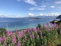 Hadsel Lofoten.