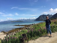 Hadsel Lofoten.