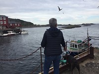Å Lofoten.