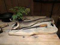 stokvis vikingermuseum.