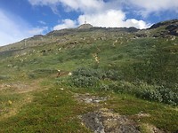 Uitzicht vanaf de top.