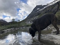 Altijd dorst.