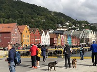Bryggen huisjes.