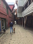 Bryggen huisjes achterkant.