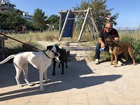 Ontmoeting met een witte boxer!