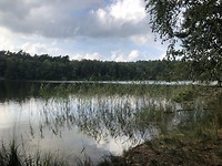 Müritz-nationalpark