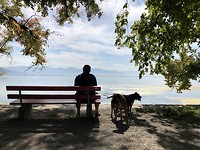 Bodensee.