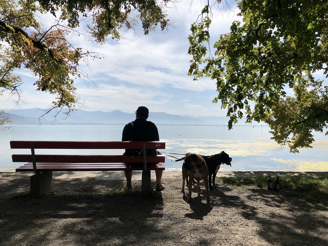 Bodensee.