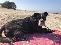 ....de ander speelt in het zand.
