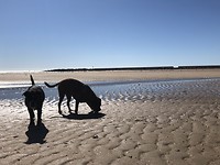 Op het strand.