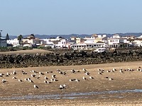 Isla Cristina.
