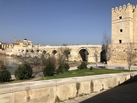Puenta Romana.