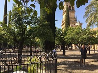 Binnentuin Mezquita.